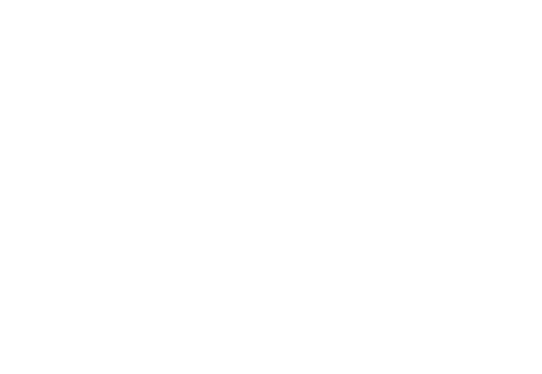 日本三大稲荷・豊川稲荷 YORU MO-DE(ヨルモウデ) 〜女神と秘密の庭〜　With Concorso d’Eleganza della Volpe Bianca